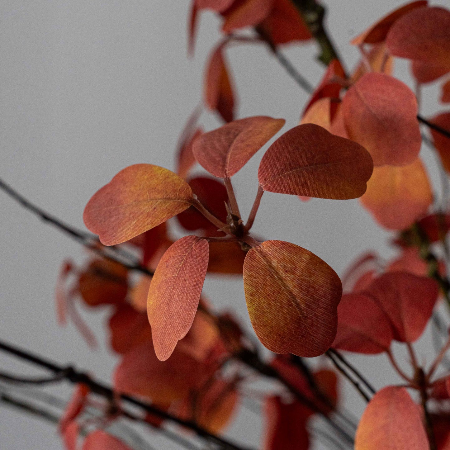 Eternal Petals Decorative Artificial Flower | Plant