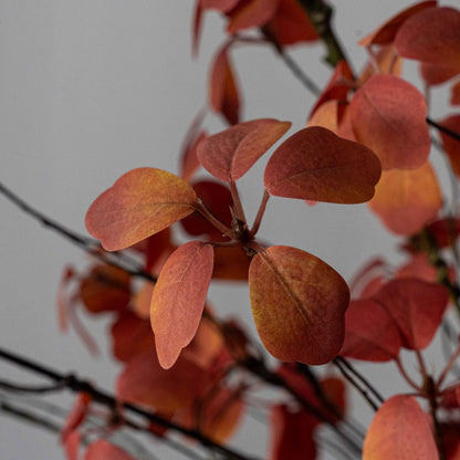 Eternal Petals Decorative Artificial Flower | Plant