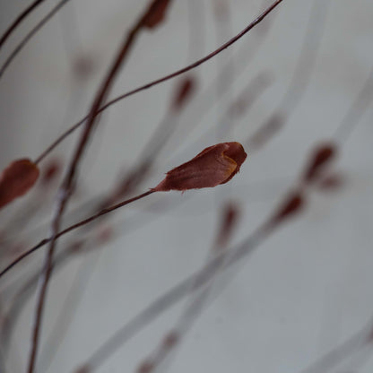 Timeless Garden Red Decorative Artificial Flower | Plant