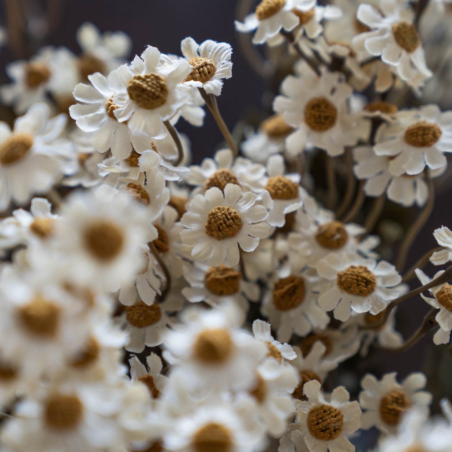 Oxeye Daisy White - Anzac Artificial Flower  (White)
