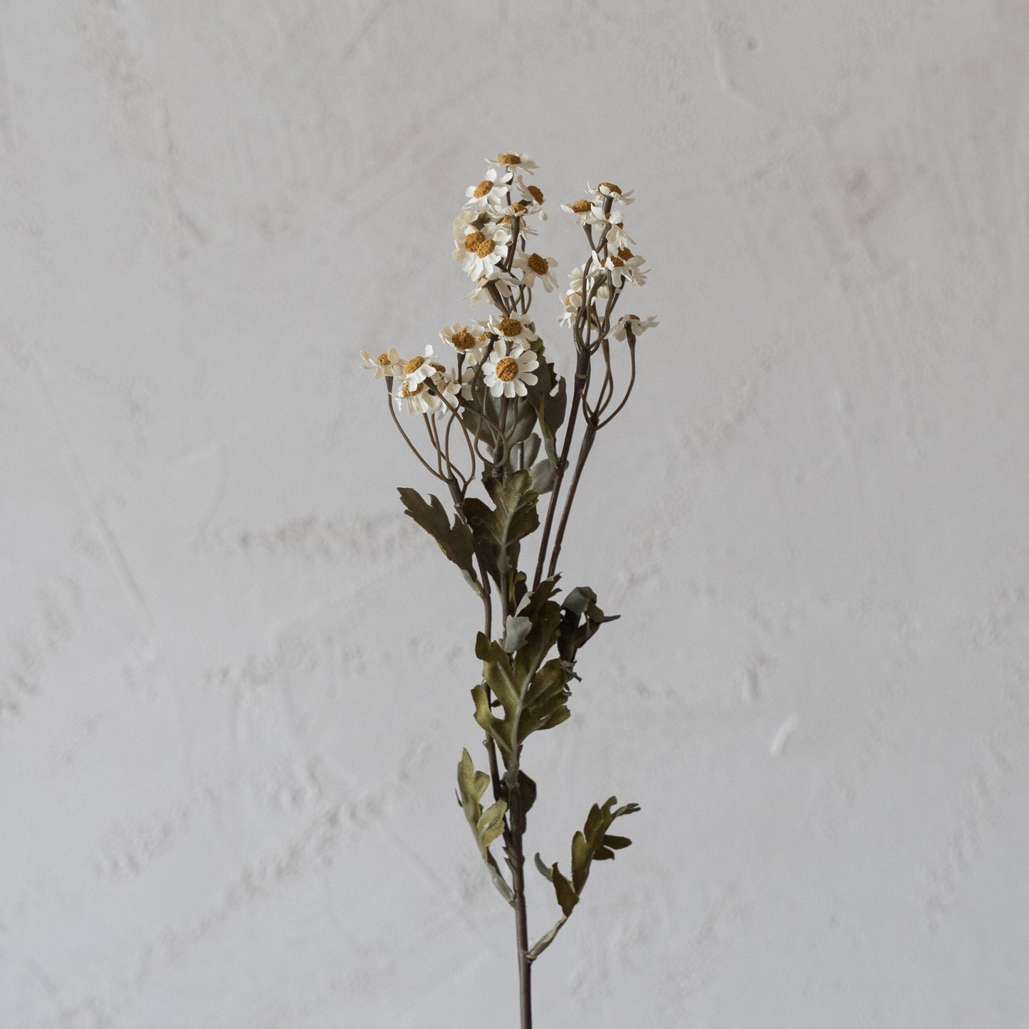 Oxeye Daisy White - Anzac Artificial Flower  (White)