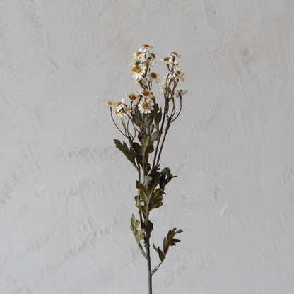 Oxeye Daisy White - Anzac Artificial Flower  (White)